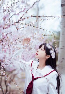 A一片女人一区二区三区_DVD免费电视剧